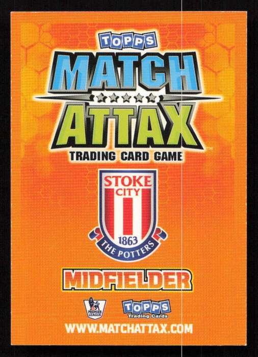 Topps Match Attax PL 2009/2010 - Stoke City - Yuncay Sanli