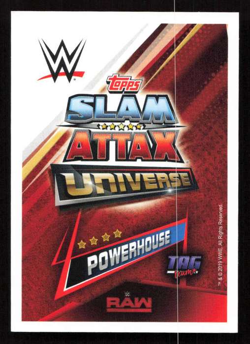 Topps Slam Attax Universe - Tag Team - The Viking Raiders