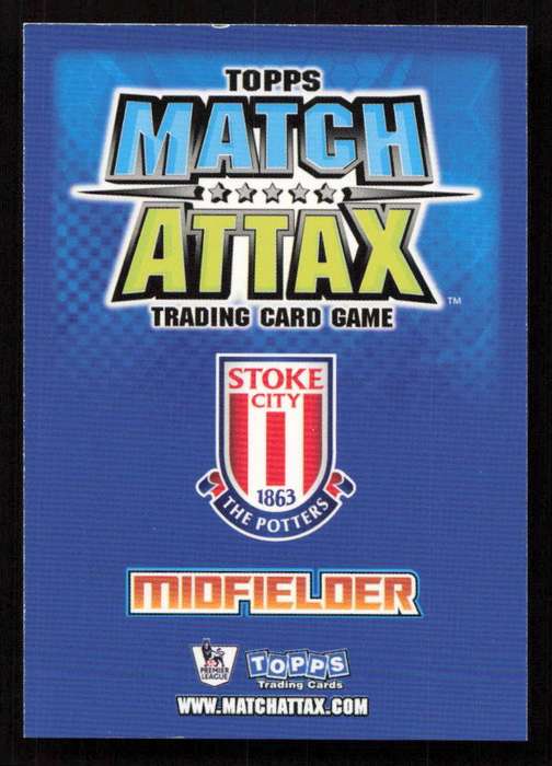 Topps Match Attax PL 2008/2009 Stoke City - Seyi George Olofinjana