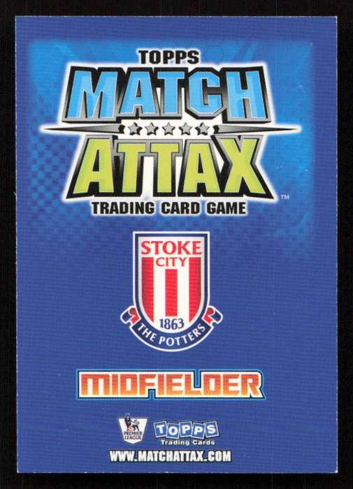 Topps Match Attax PL 2008/2009 Stoke City - Rory Delap
