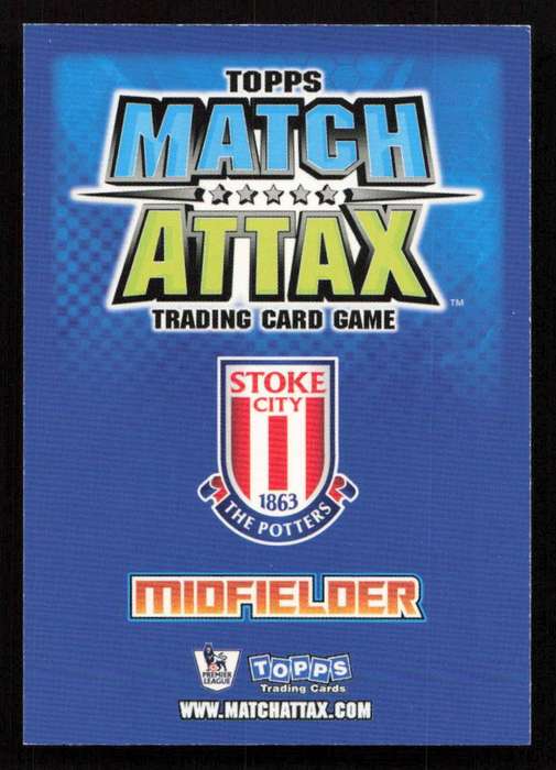 Topps Match Attax PL 2008/2009 Stoke City - Danny Pugh