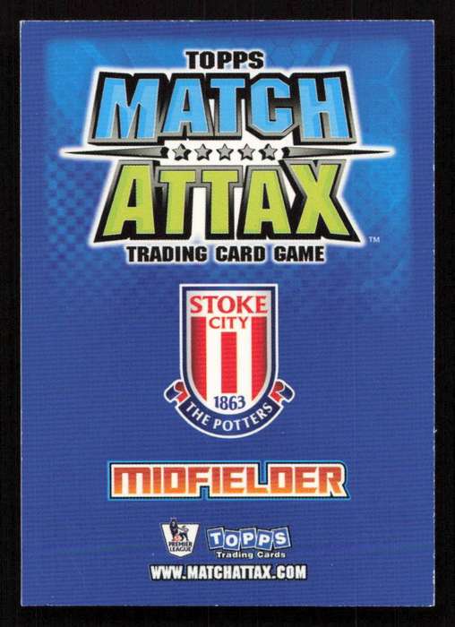 Topps Match Attax PL 2008/2009 Stoke City - Amoy Faye