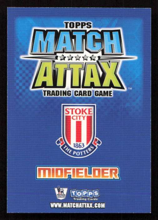 Topps Match Attax PL 2008/2009 Stoke City - Liam Lawrence