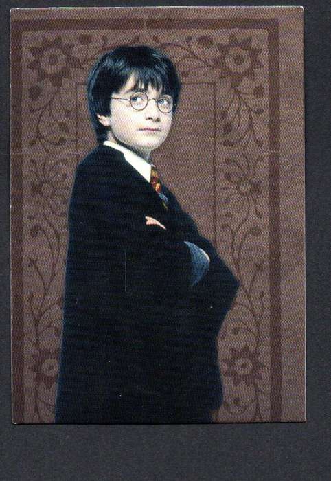 22 Panini Evolution Trading Cards - Harry Potter Card 10