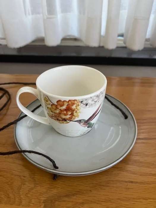 Used cup-and-saucer pottery bird feeder garden