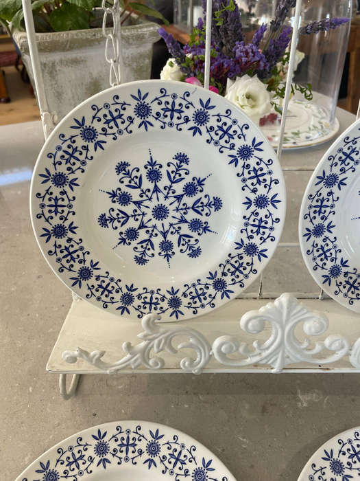 Vintage Valencia Designed by Jessie Tait Midwinter Set of 6 Side Plates!