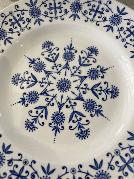 Vintage Valencia Designed by Jessie Tait Midwinter Set of 6 Side Plates!