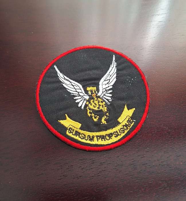 SAAF 2 Squadron Patch