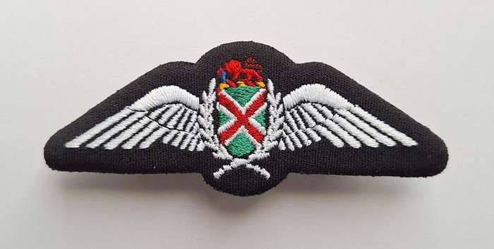 SAAF Commando Pilot Wings 1990s Silver