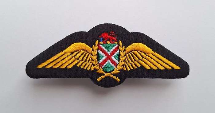 SAAF Commando Pilot Wings 1990s Gold
