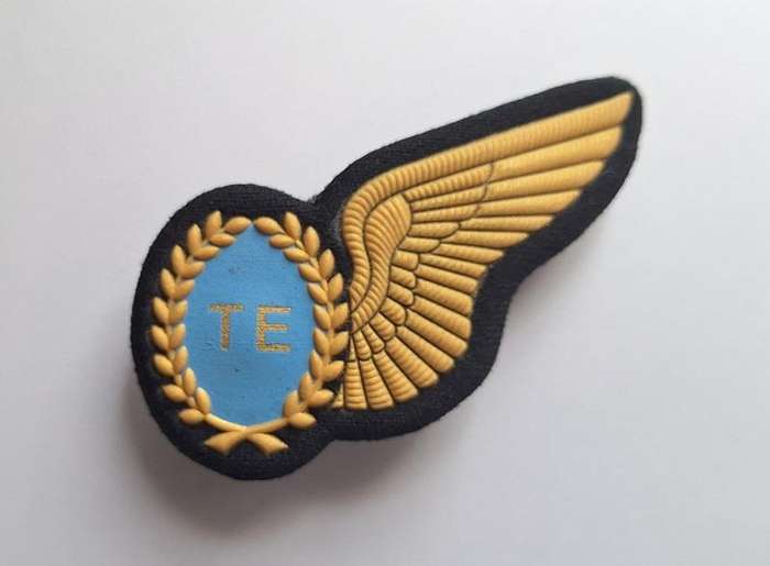 SAAF TE (Test Engineer) Wing Gold