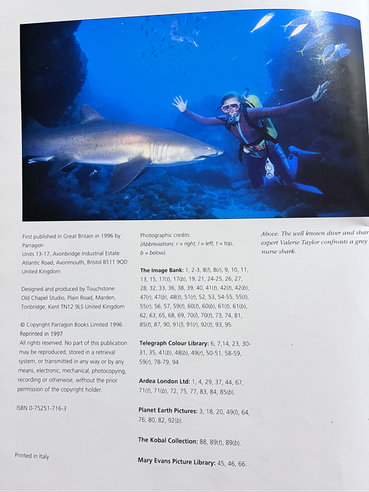 Shark Attack - McDiarmid 9680752517162