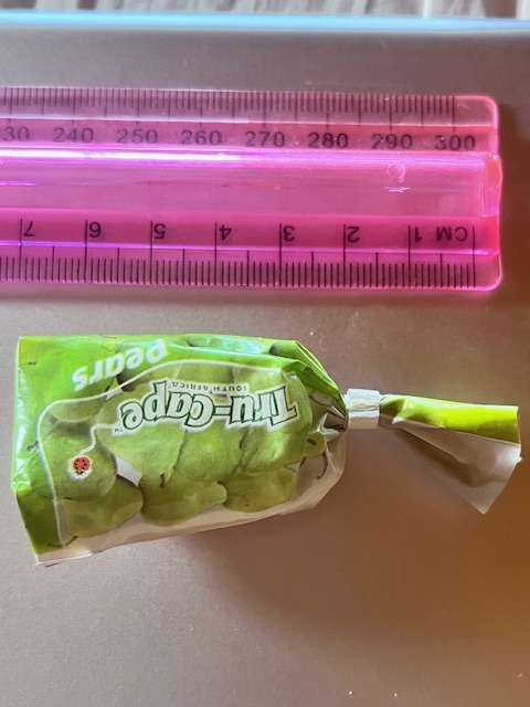 Checkers mini apples/pears (not 2024 version)
