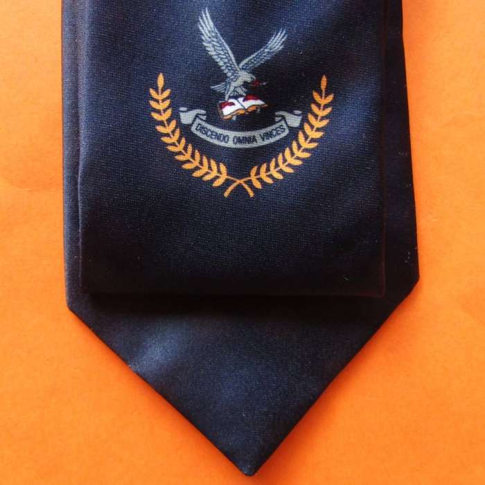 Old SAAF Air Force College Neck Tie