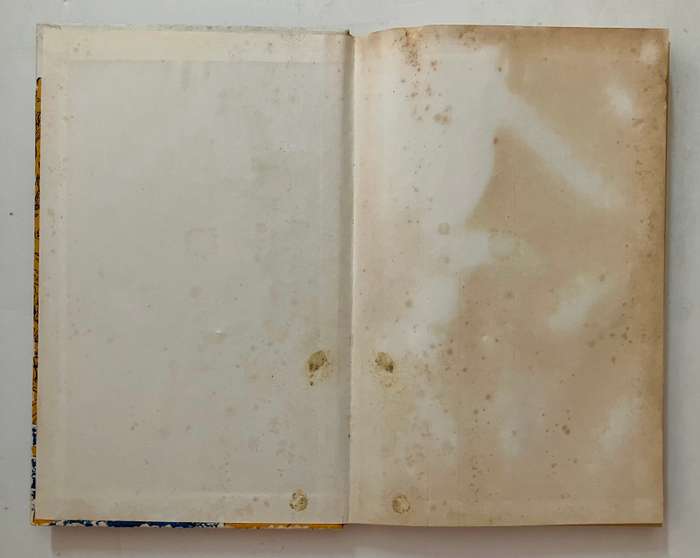 Brandkloof se Kinders - Rona Rupert. Hardeband geen stofjas, 2e Uitg. 1982