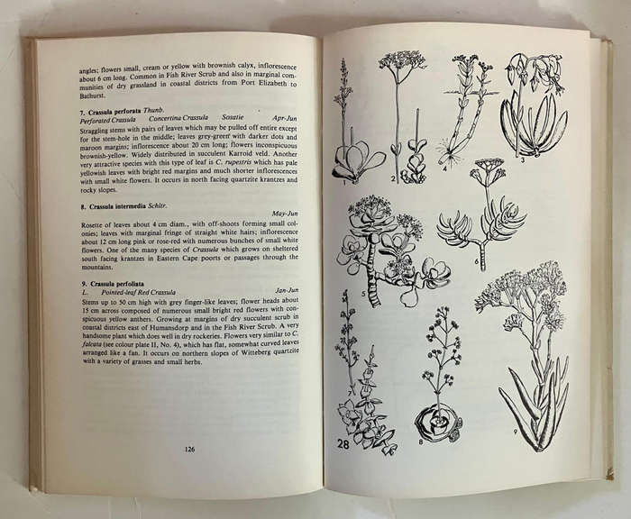 Eastern Cape Veld Flowers - Eily Gledhill. Hardcover w/o dj. 2nd Ed. 1981