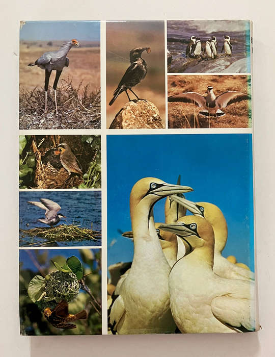 Birdlife in Southern Africa - Kenneth Newman. Hardcover w dj, Rev Ed, 1979