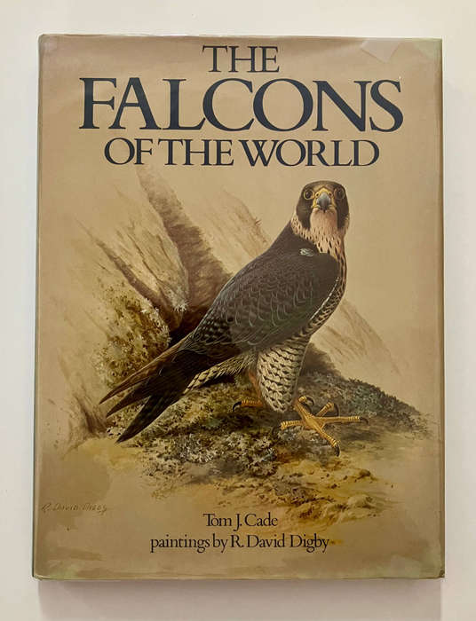 The Falcons of the World - Tom J Cade, paintings by R David Digby. Hardcover w dj. 1st Ed. 1982