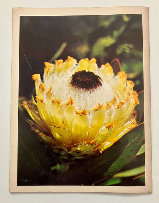 Pride of South Africa 1: Proteas - Frank Rousseau. Softcover, 1973