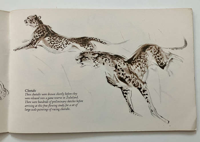 Animals Through the Eyes of an Artist - Ralph Thompson. Softcover, 1st Ed. 1970