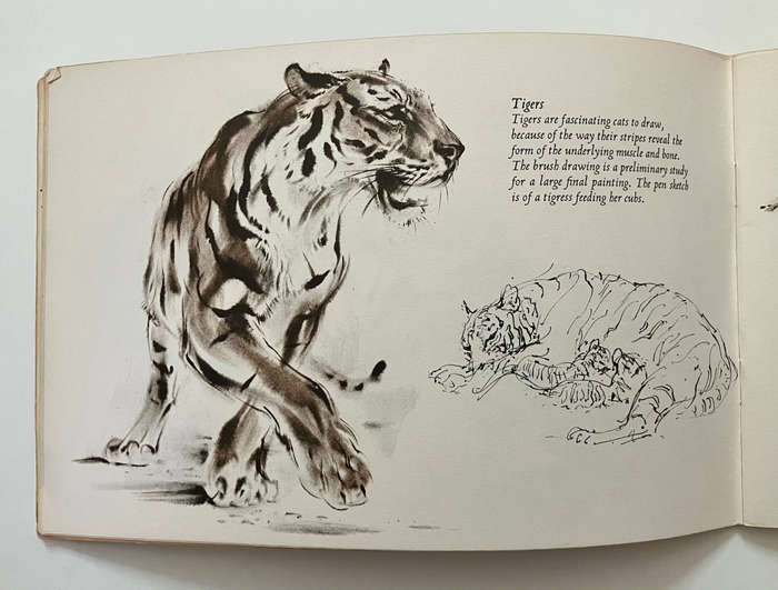 Animals Through the Eyes of an Artist - Ralph Thompson. Softcover, 1st Ed. 1970