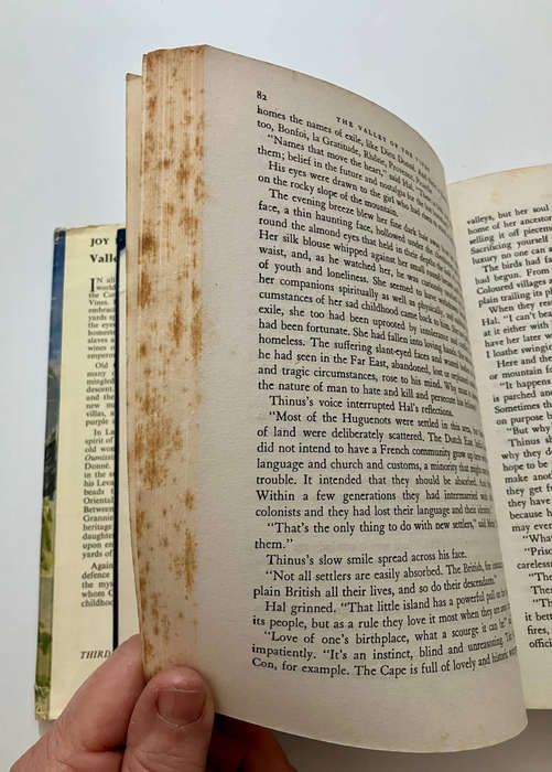 Valley of the Vines - Joy Packer. Hardcover w dj, 1st Ed. 3rd Impr. 1955