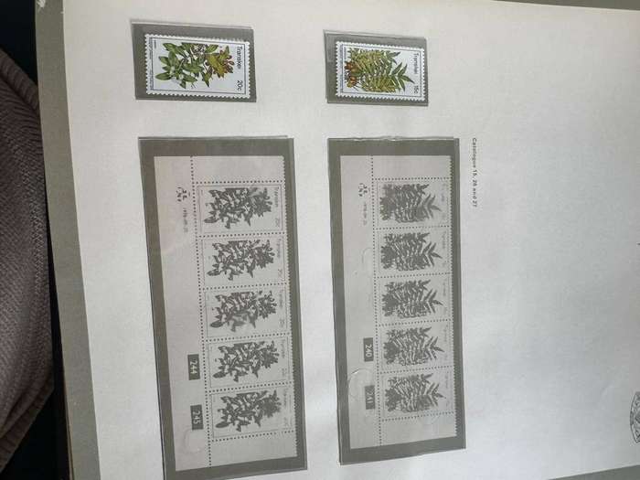 Transkei Stamp Album Preprinted