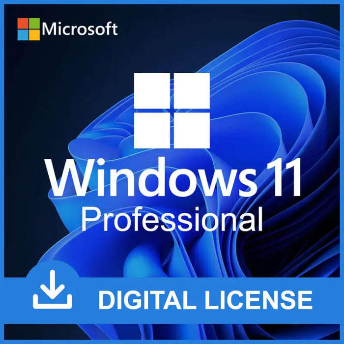 Windows 11 Professional