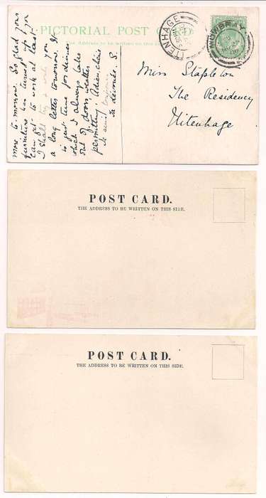Ascension  three picture postcards c.1906/8, Turtles