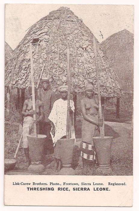 Sierra Leone 1923 picture postcard, KGV 1½d