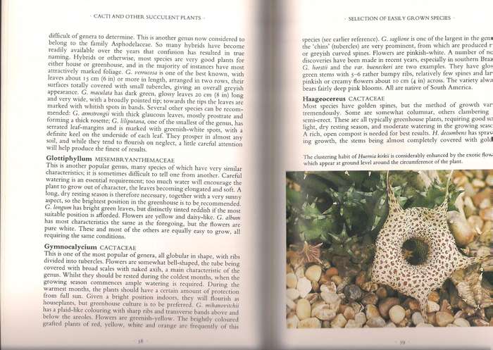 Cacti & Succulents, Innes