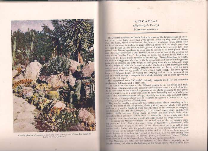 Succulents for the Amateur, Brown et al