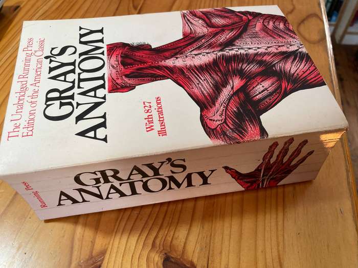 Gray's Anatomy- Henry Gray    1974