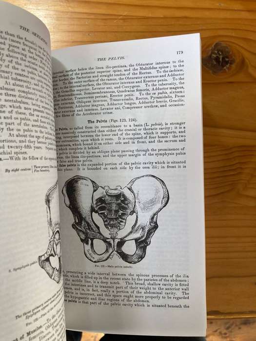 Gray's Anatomy- Henry Gray    1974