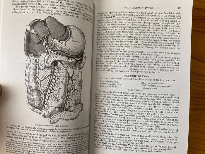 Gray's Anatomy- Henry Gray    1974
