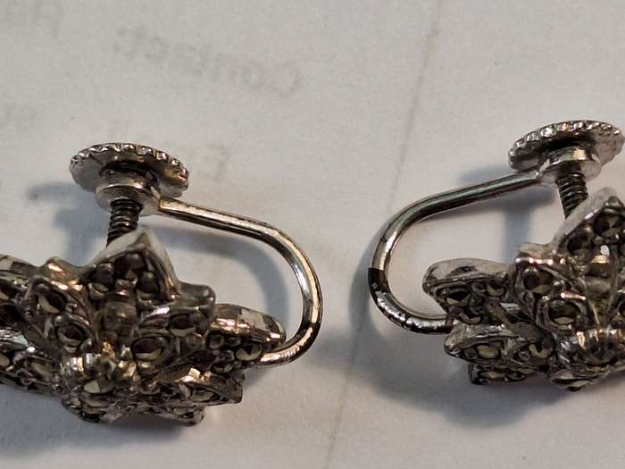 Marcasite??? earrings