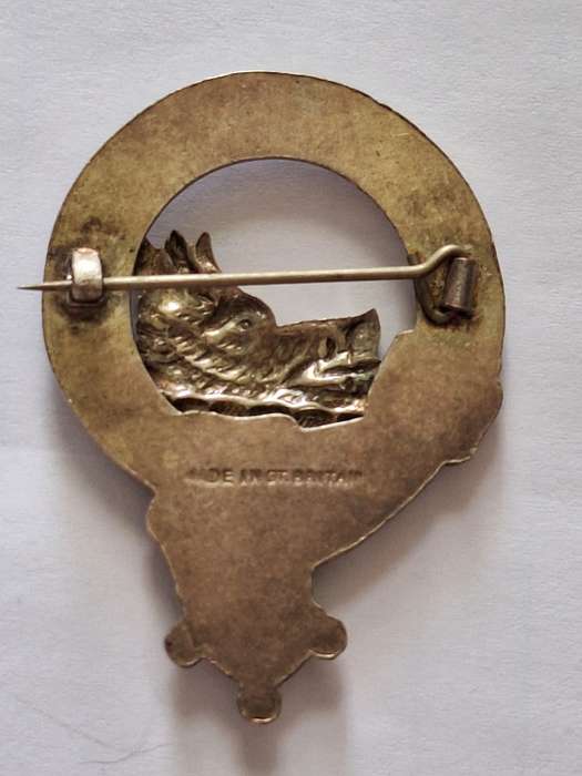 Scottish clan McDonald pin/brooch