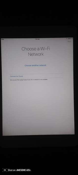 iPad mini A1432