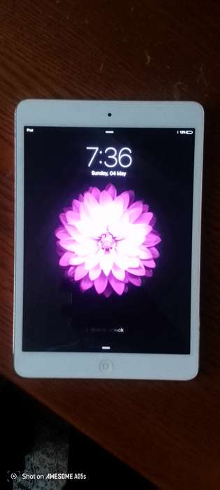 iPad mini A1432