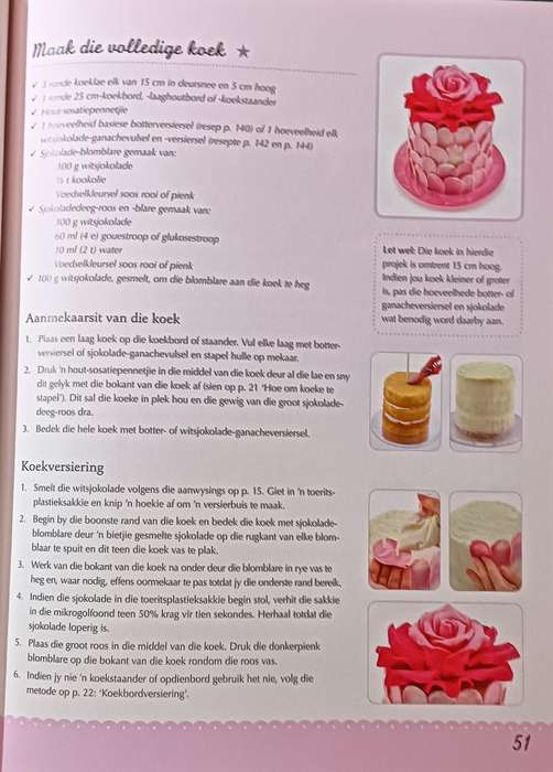 Katrien se Koeke - Katrien van Zyl - Softcover - 159 pages