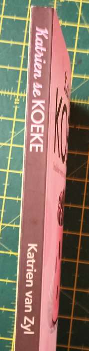 Katrien se Koeke - Katrien van Zyl - Softcover - 159 pages