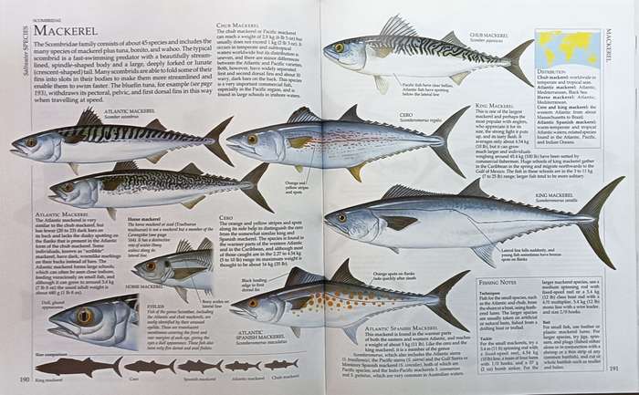 The Encyclopedia of Fishing - Ian Wood Editor - Hardcover - 288 pages