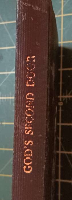 God's Second Door - J.H. Roesler - Hardcover - 94 pages