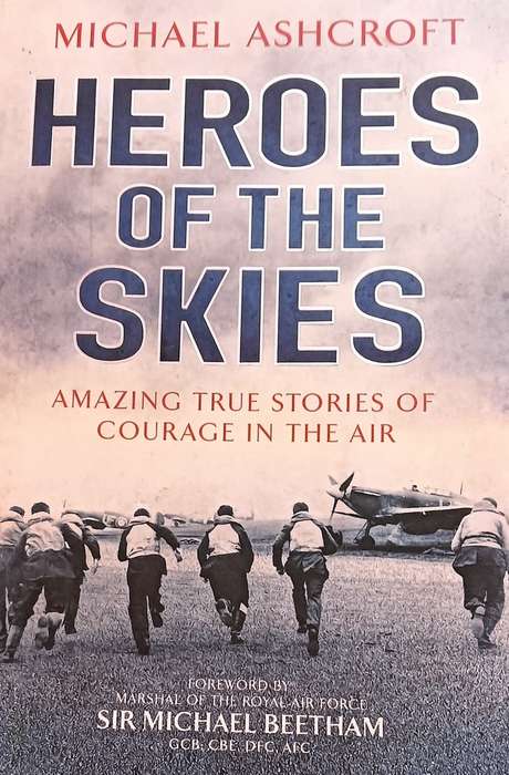 Heroes of the Skies - Michael Ashcroft - Softcover - 441 pages