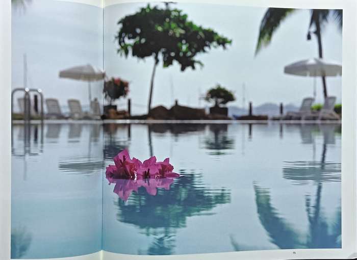 Pure Sense - A Meditative Journey in Sound and Vision - Hardcover - 108 pages & 4 CD's