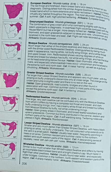 Field Guide to the Birds of Southern Africa - Ian Sinclair - Softcover - 368 pages