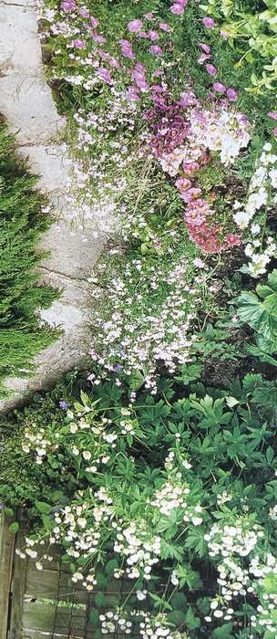 Garden Planning, Design & Decoration - Peter McHoy & Tessa Evelegh - Hardcover - 512 pages