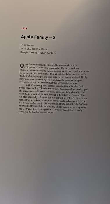 Georgia O'Keeffe - An American Perspective - Lauris Morgan-Griffiths - Hardcover - 175 pages