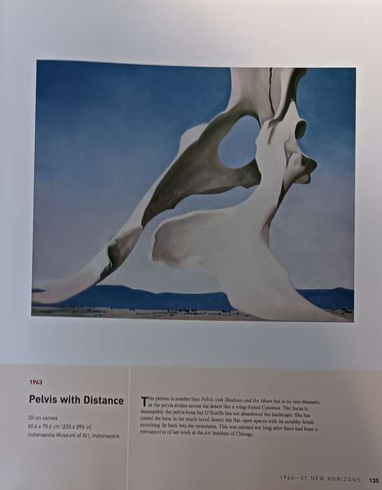 Georgia O'Keeffe - An American Perspective - Lauris Morgan-Griffiths - Hardcover - 175 pages