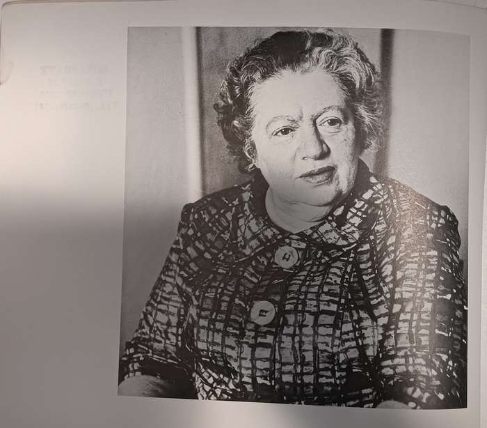 Irma Stern - Neville Dubow - Softcover - 64 pages